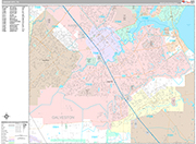 League City  Wall Map Premium Style